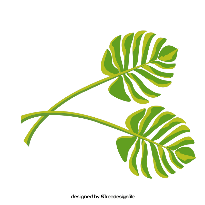 Palm leaf illustration clipart