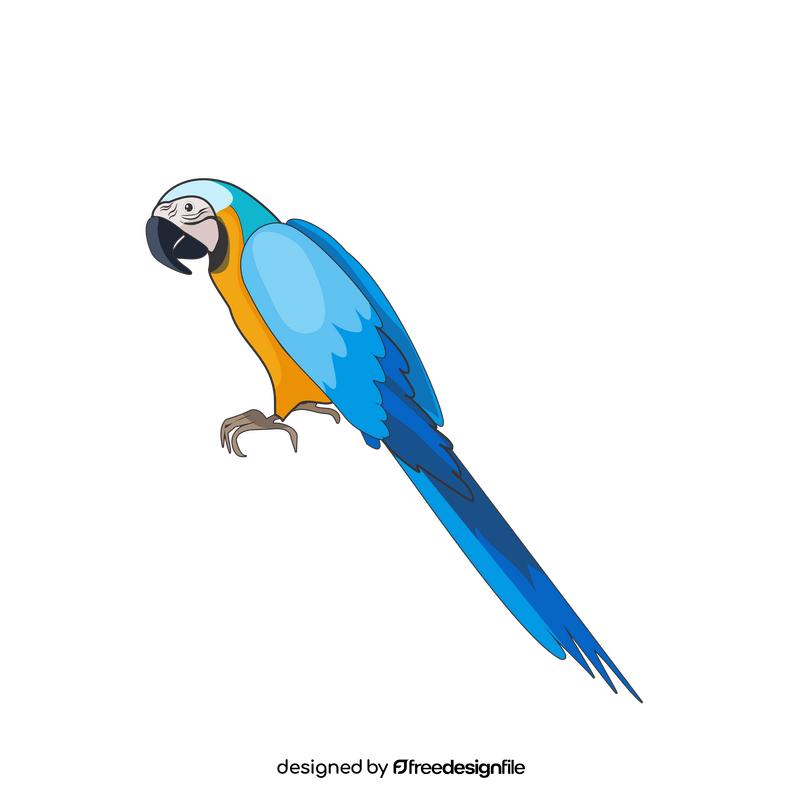 Blue parrot clipart