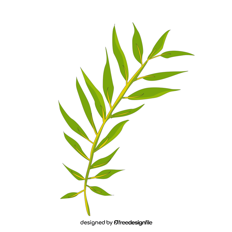 Willow leaf clipart