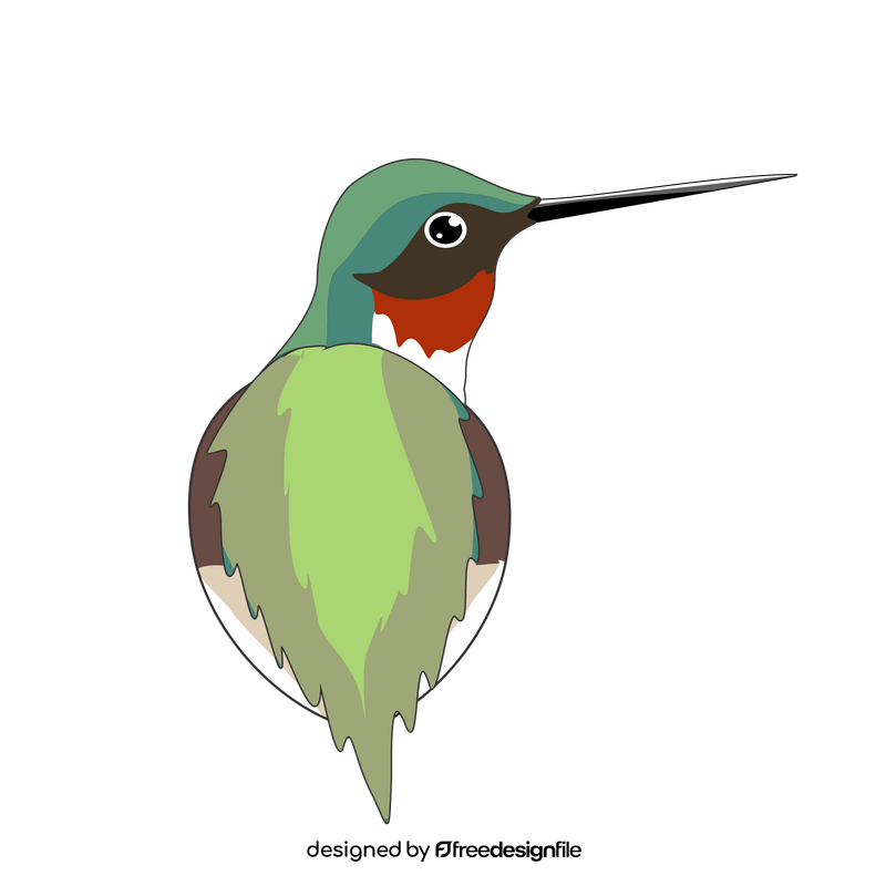 Hummingbird clipart