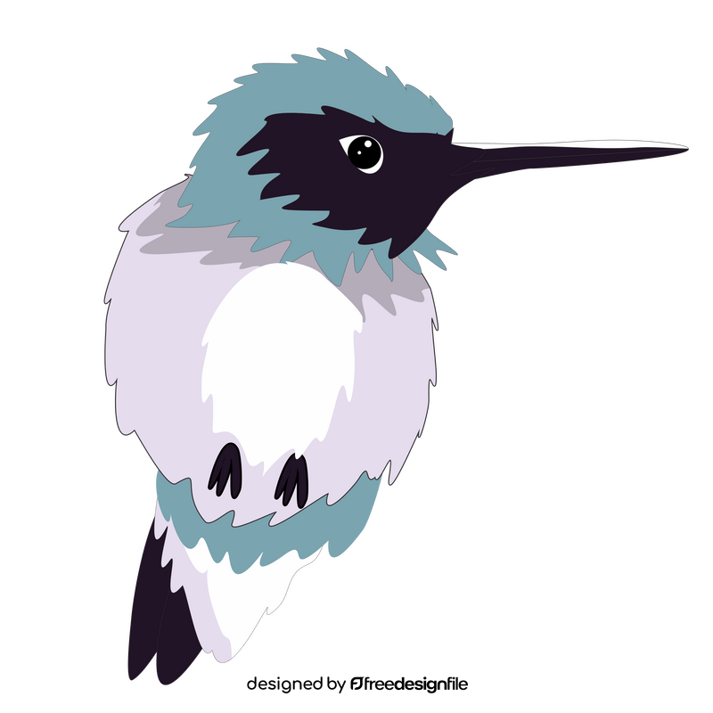 Hummingbird clipart