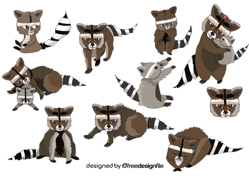 Raccoons vector