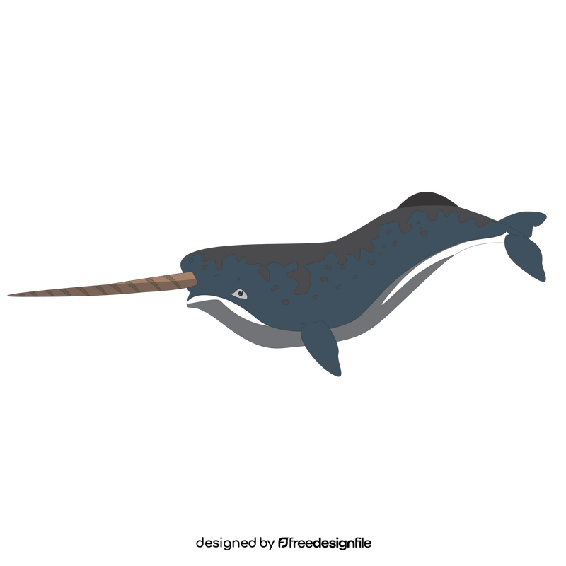 Narwhal whale clipart