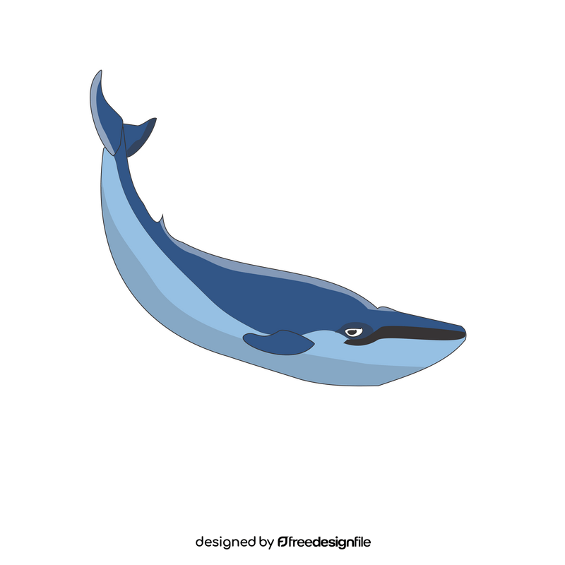 Blue whale clipart