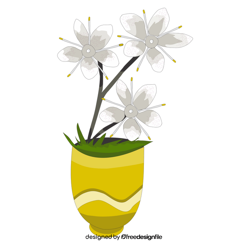 Saxifrage flower clipart