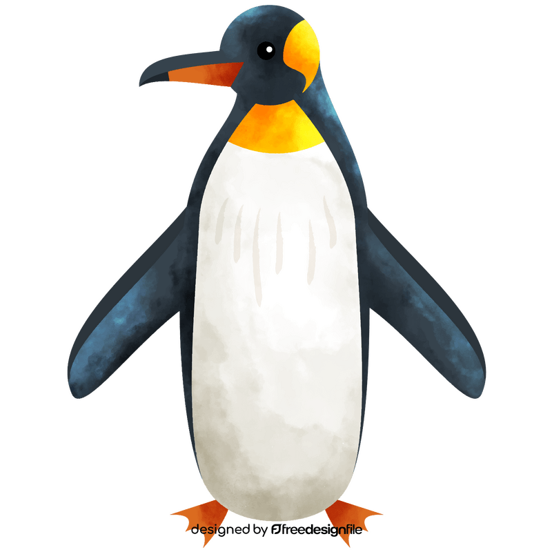 Penguin clipart