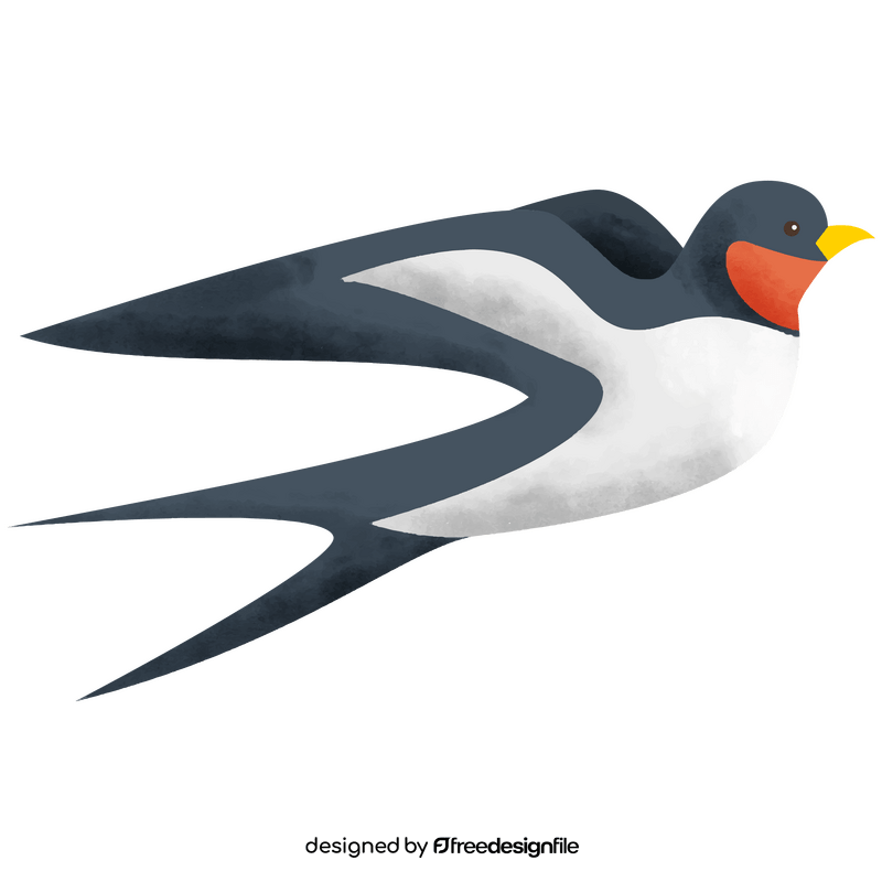 Swallow clipart