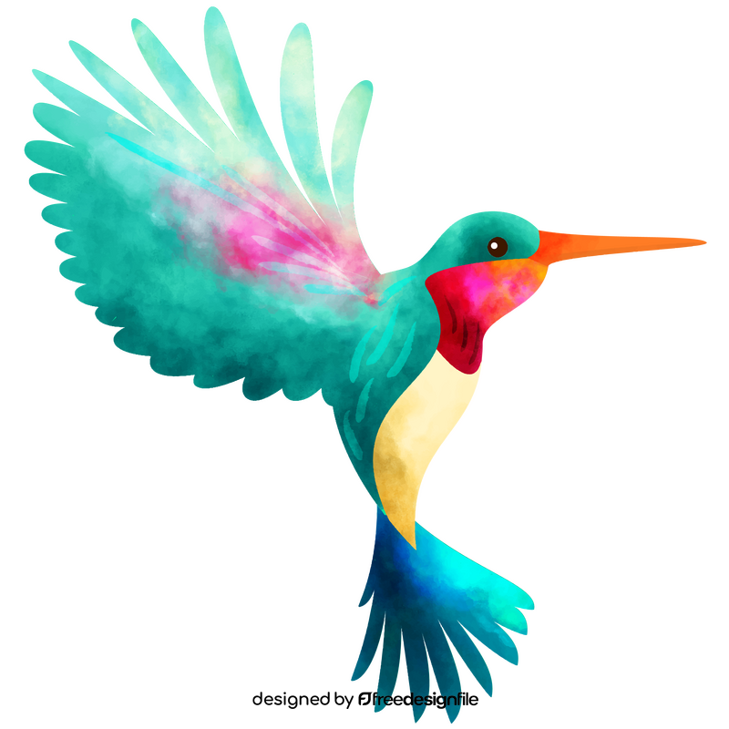 Hummingbird clipart