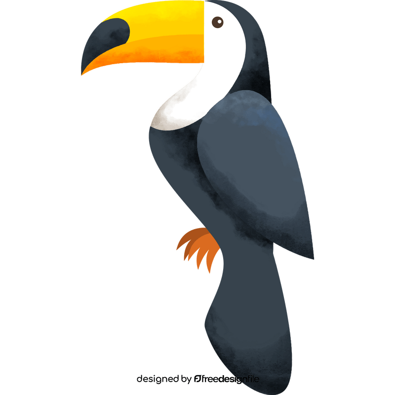 Toucan clipart