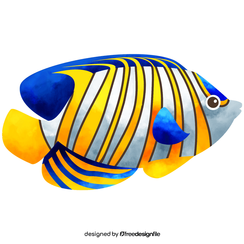 Royal angelfish clipart