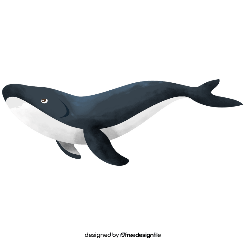 Whale clipart