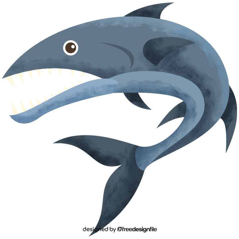 Barracuda fish clipart