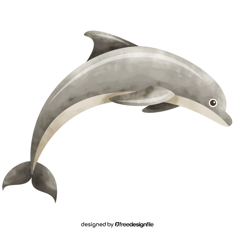 Dolphin clipart