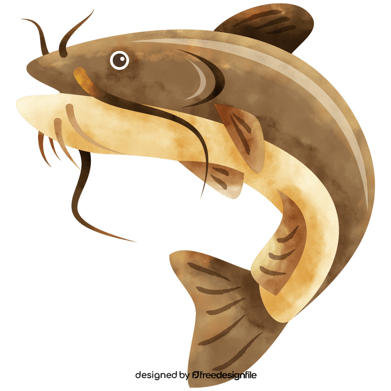 Catfish clipart