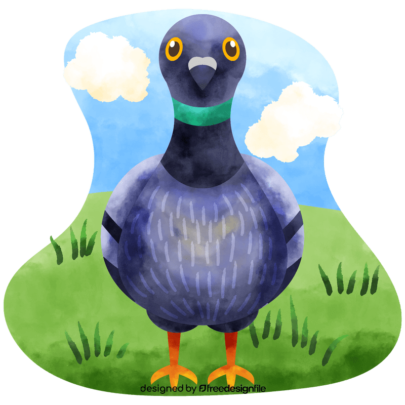 Pigeon front view vector