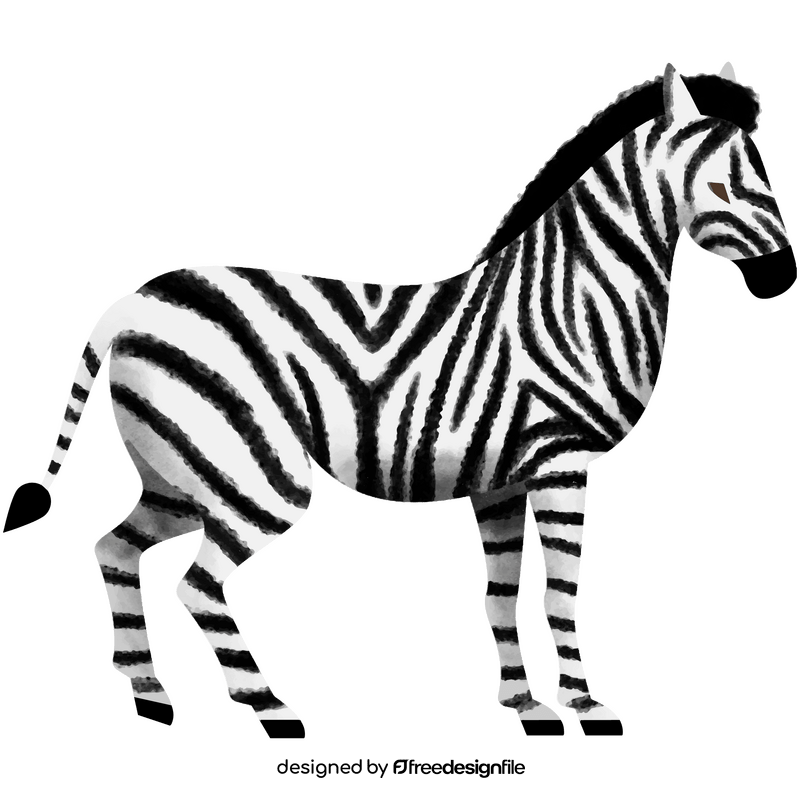 Zebra clipart