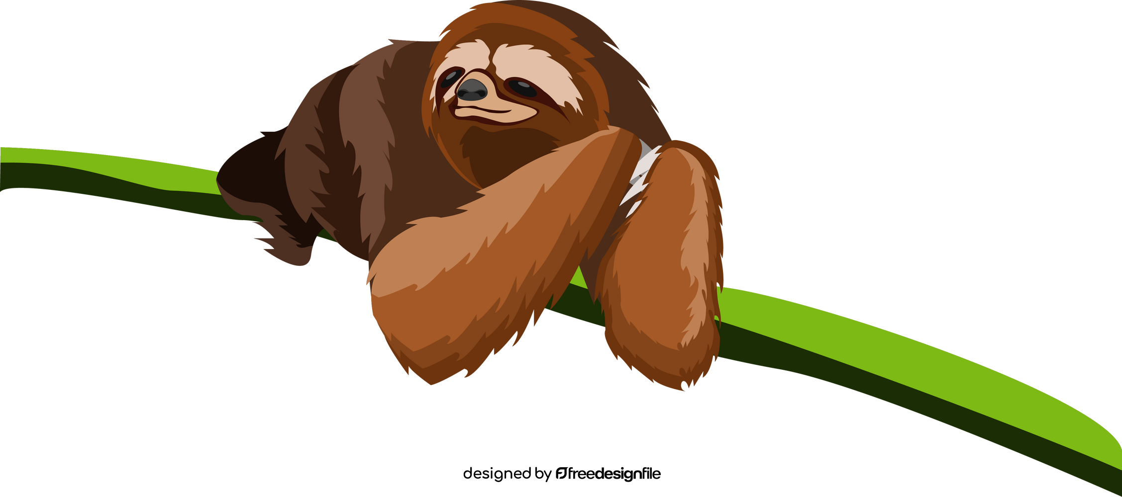 Sloth on a tree clipart