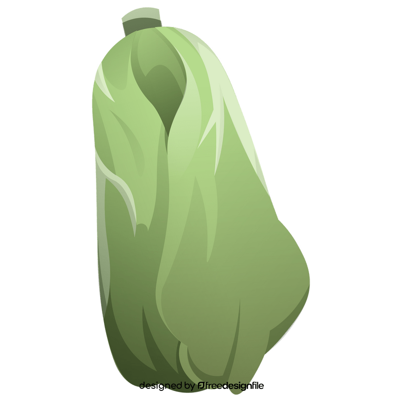Cabbage chinese clipart