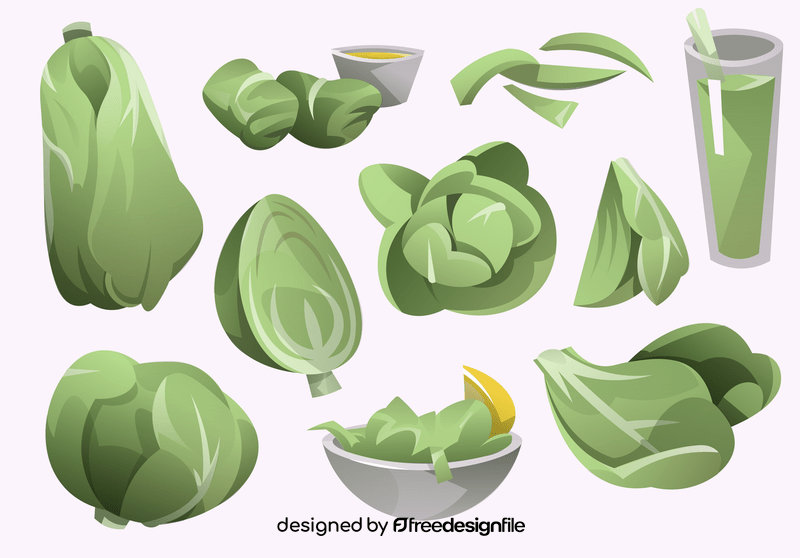 Cabbage vector