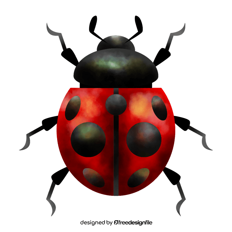 Ladybug clipart