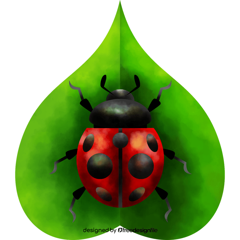 Ladybug vector