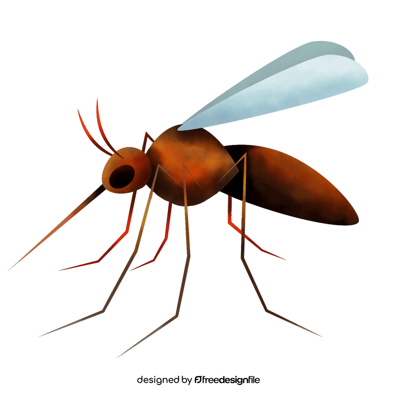 Mosquito clipart