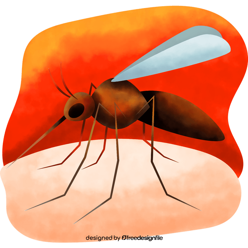 Mosquito vector