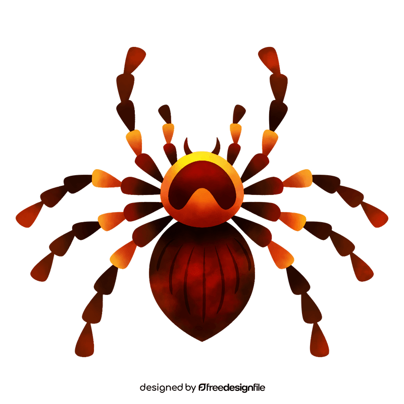 Tarantula clipart