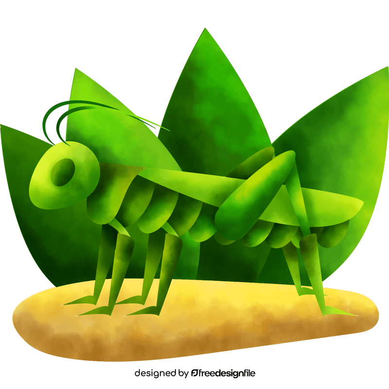 Grasshopper vector