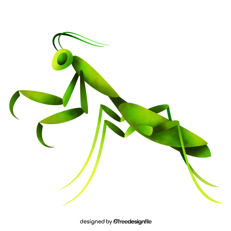 Praying mantis clipart