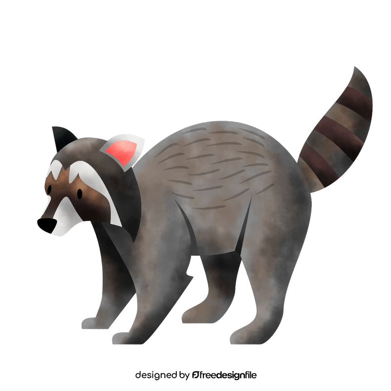 Raccoon clipart