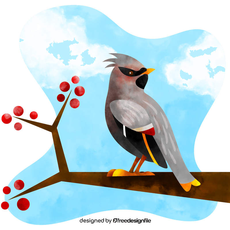 Bohemian waxwing bird vector