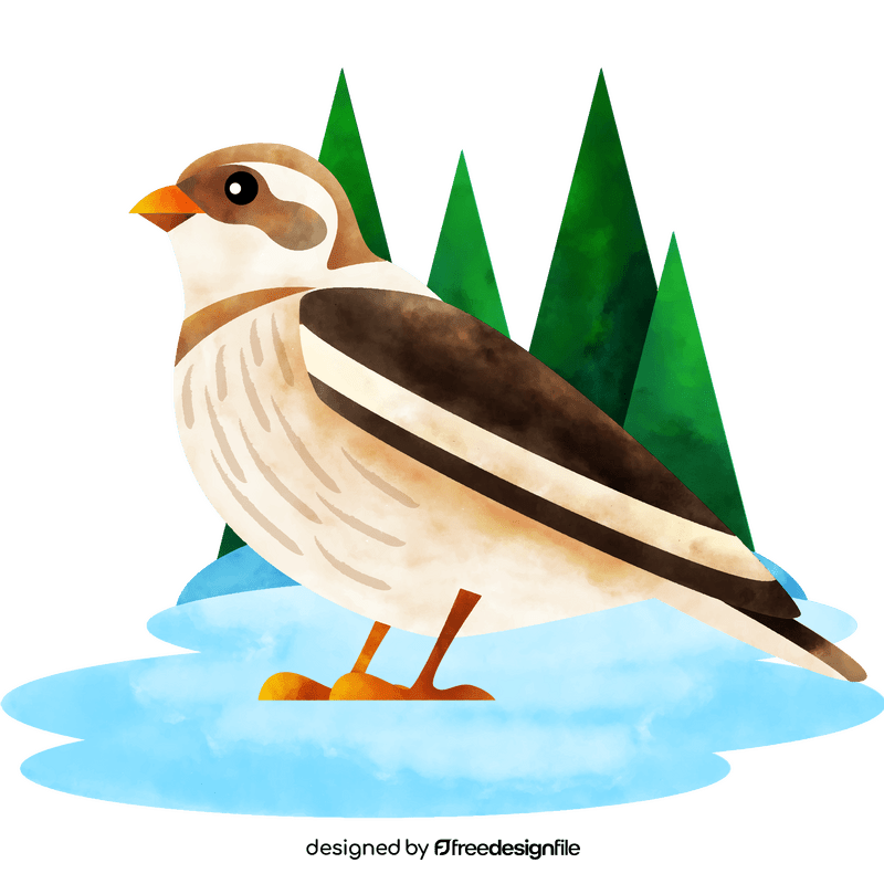 Snow bunting bird vector