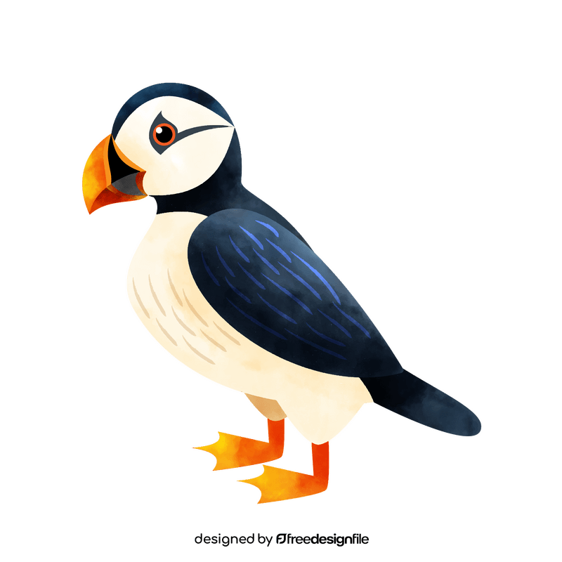 Puffin bird clipart