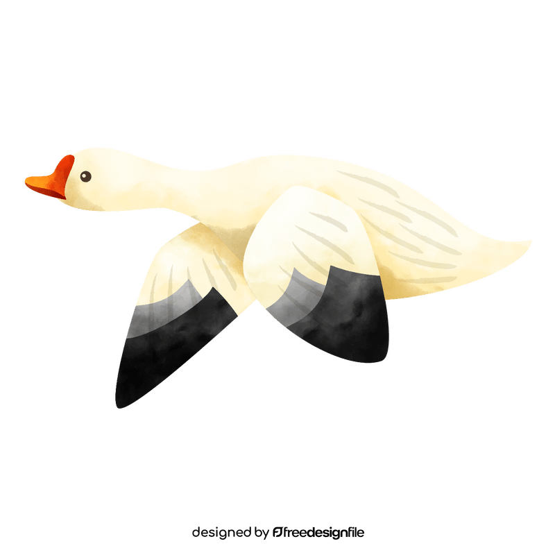 Snow geese bird clipart