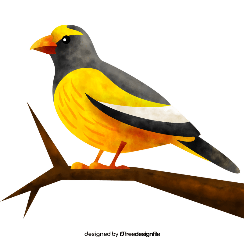 Evening grosbeak bird clipart