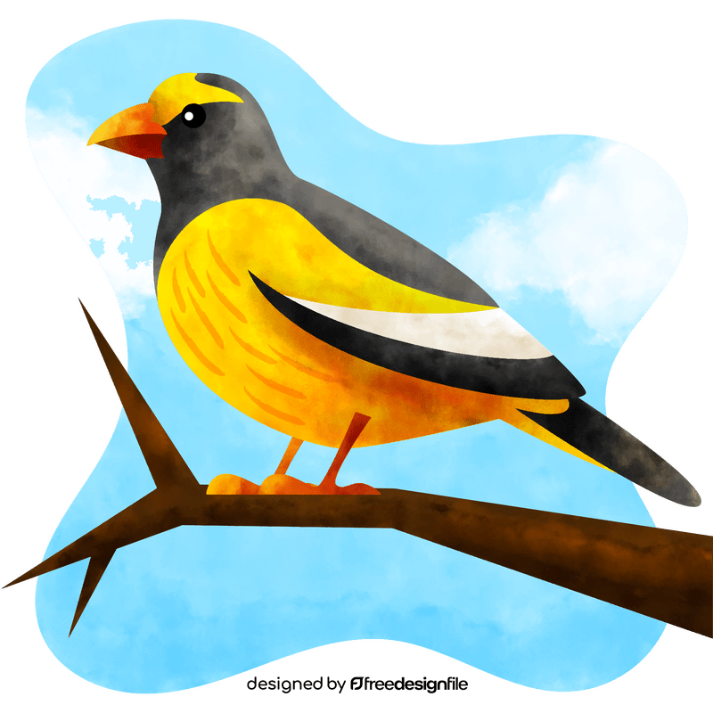 Evening grosbeak bird vector