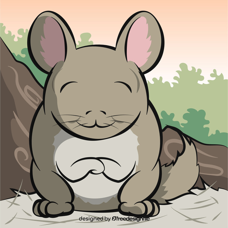 Chinchilla cartoon vector