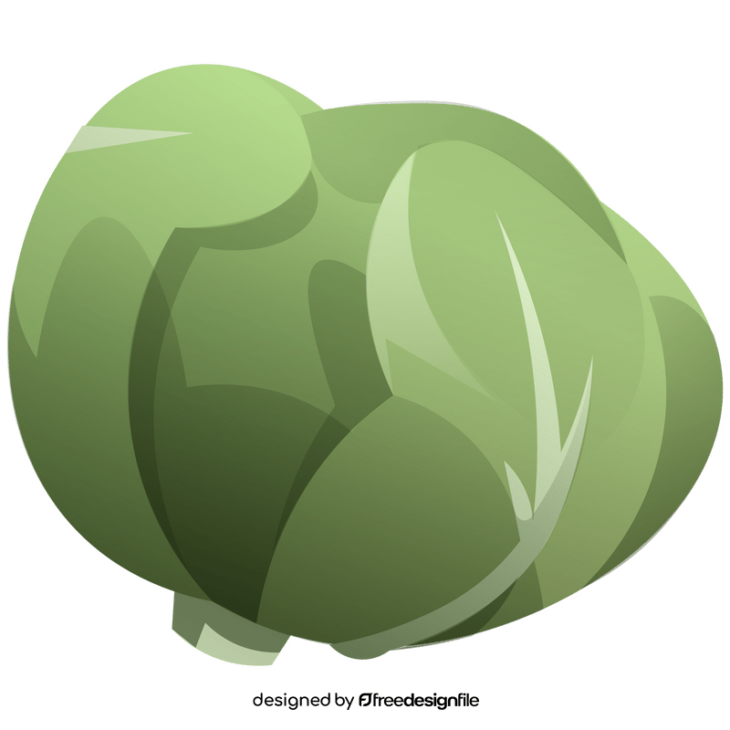 Cabbage clipart