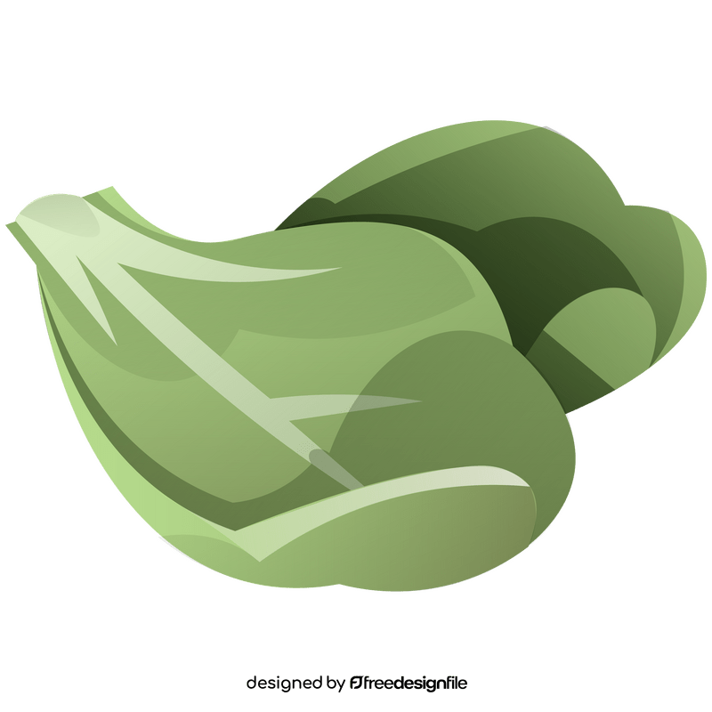 Cabbage vegetable leaves clipart