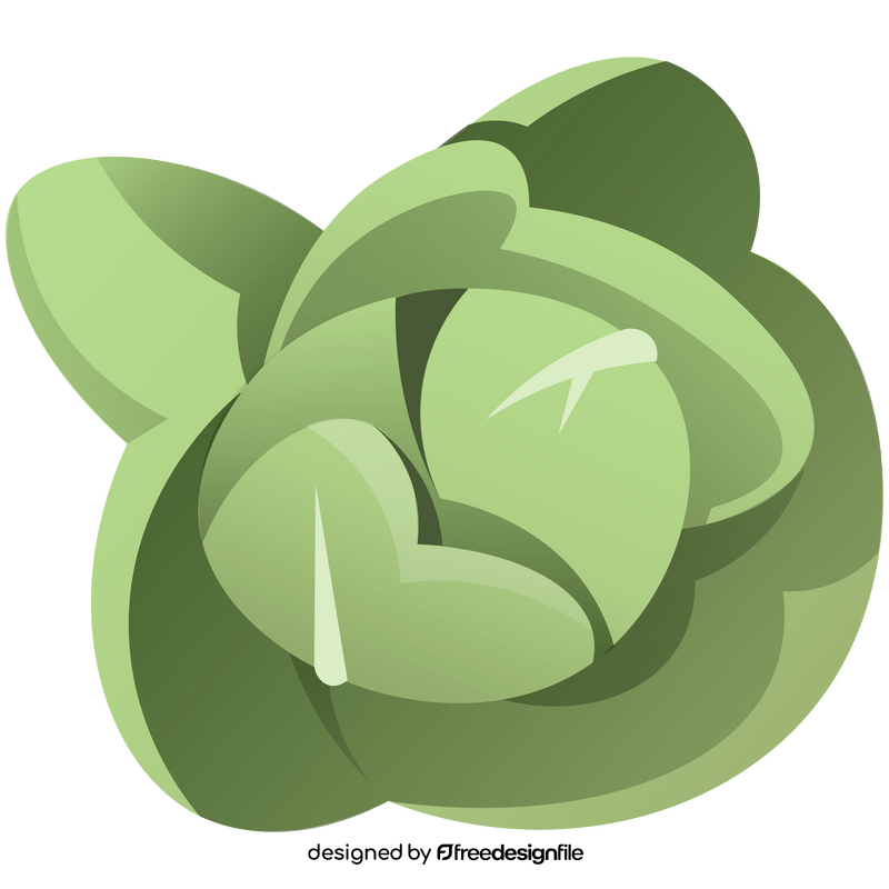 Cabbage top view clipart