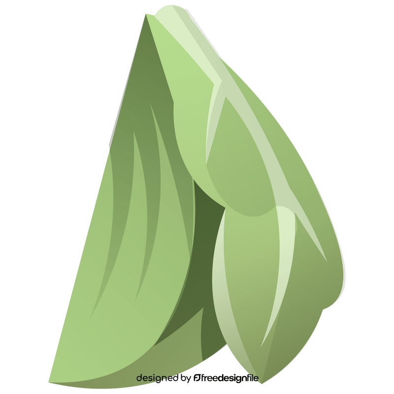 Green cabbage segment clipart
