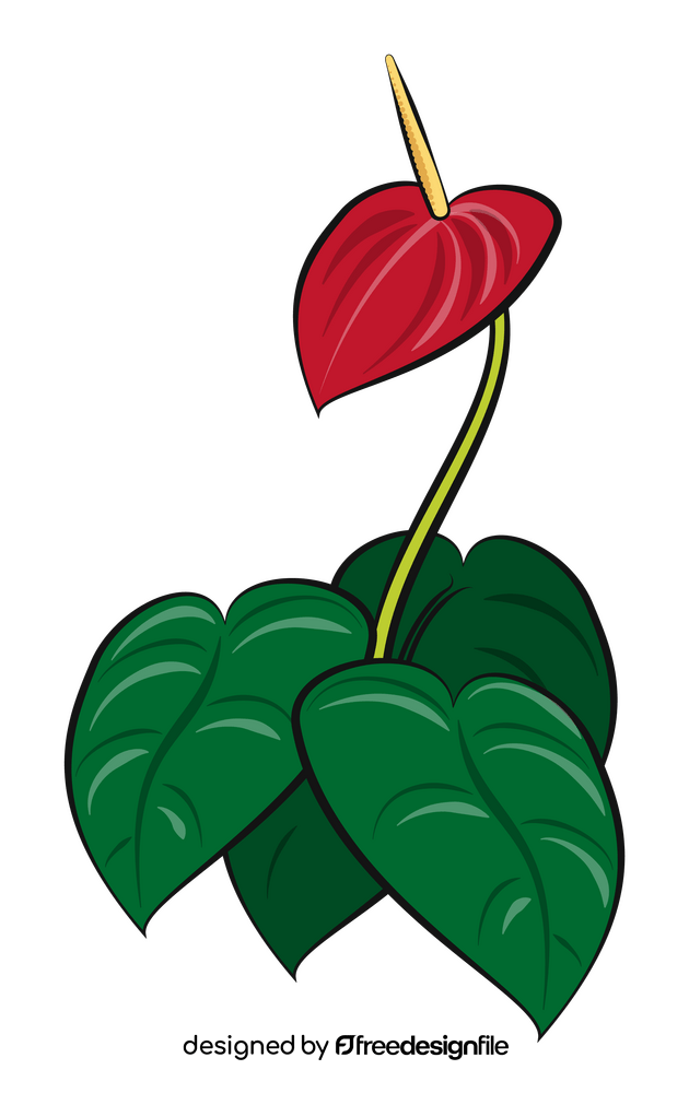 Anthurium flower clipart