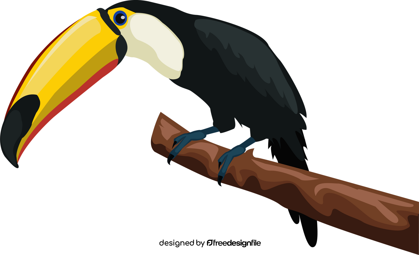 Toucan clipart