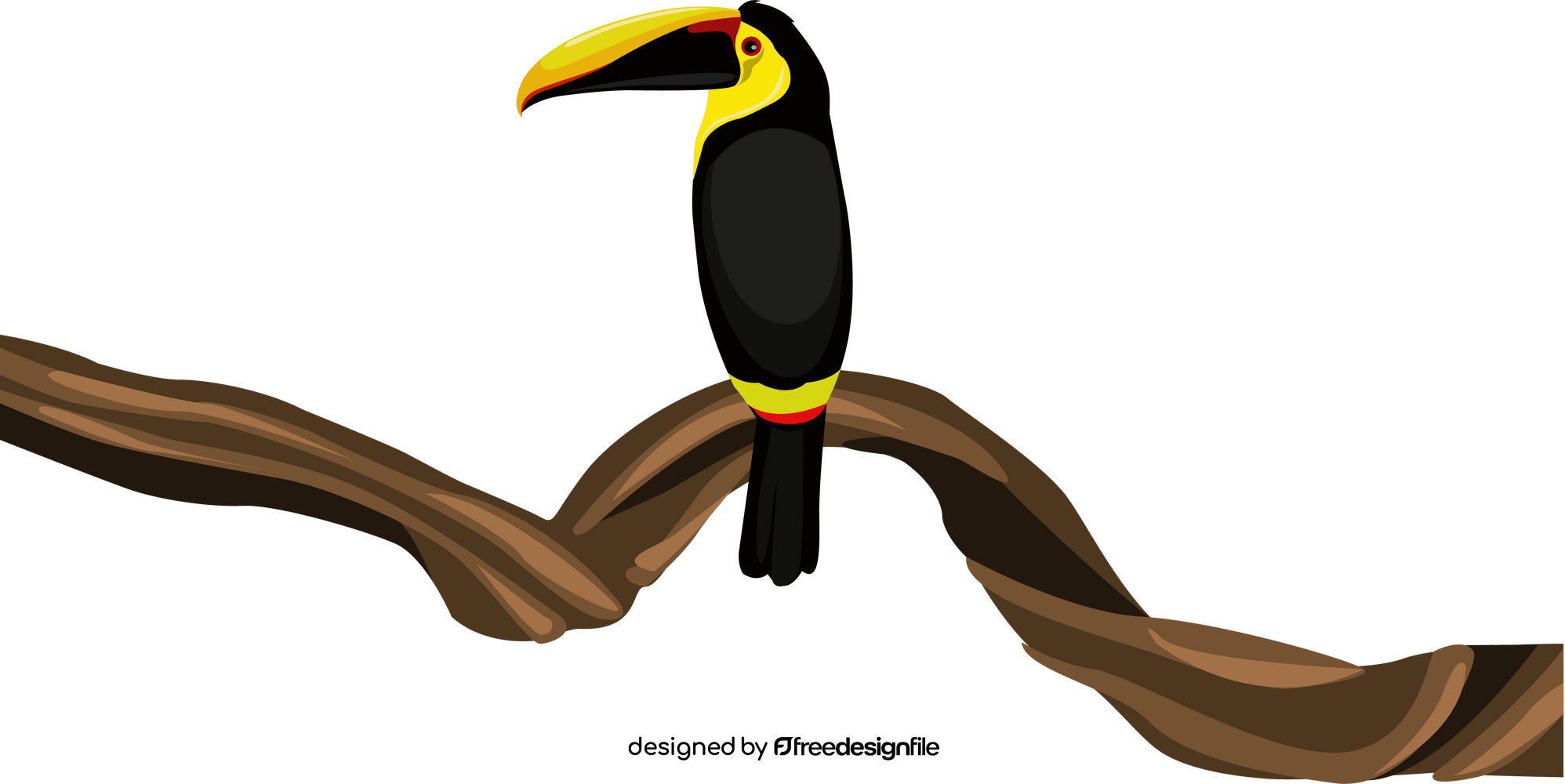 Toucan clipart