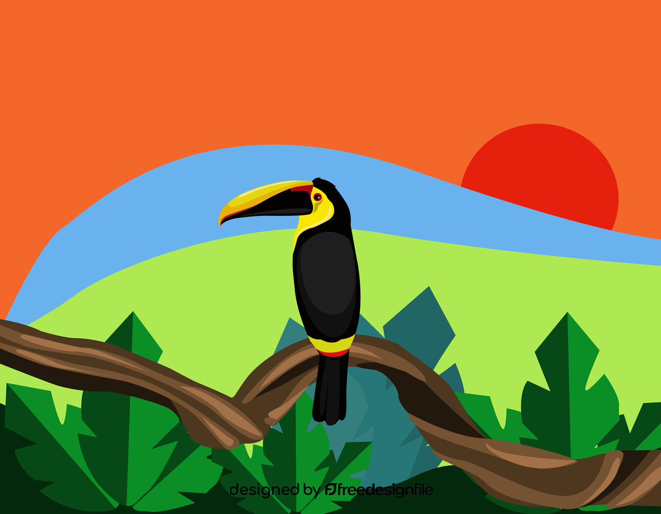 Toucan vector image