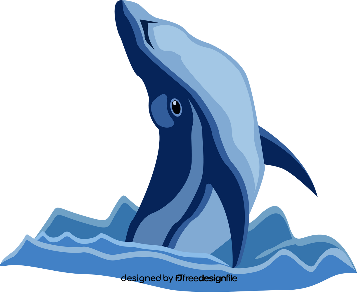 Whale clipart