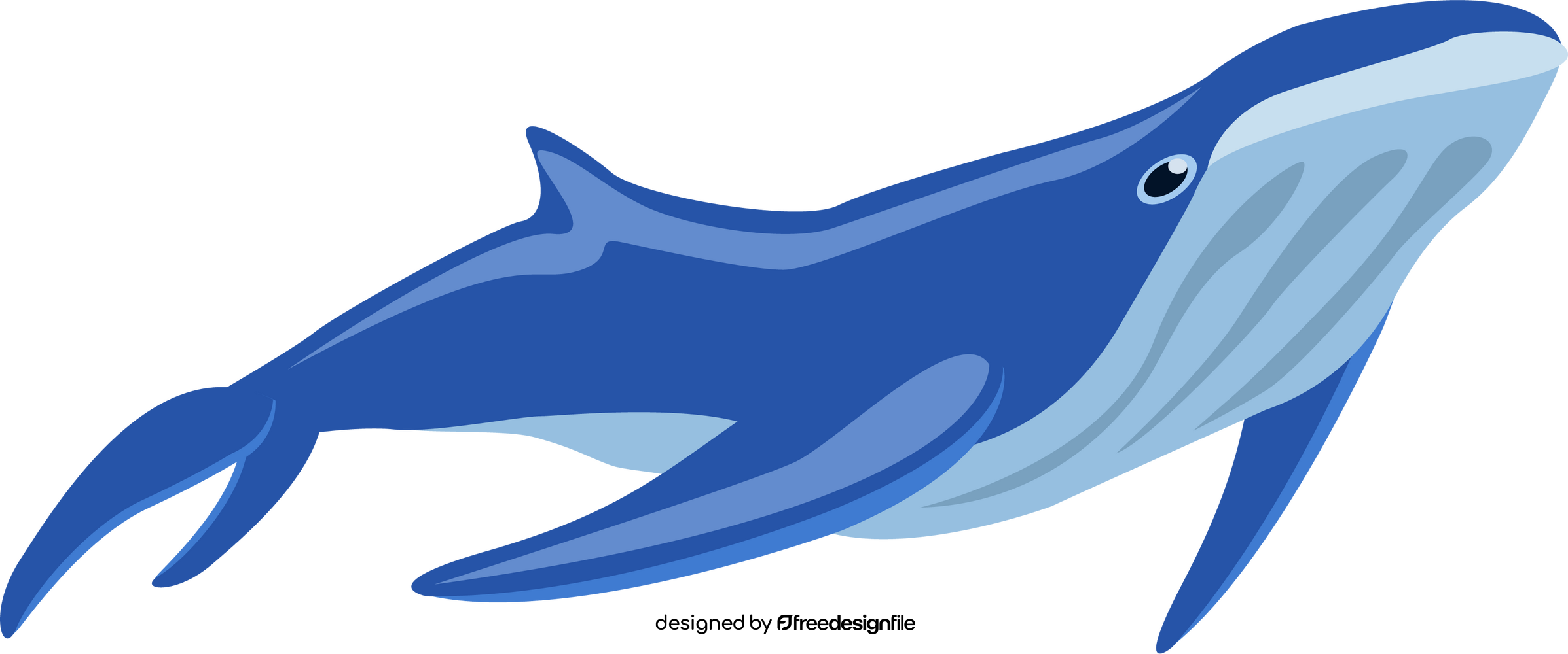 Cartoon whale clipart