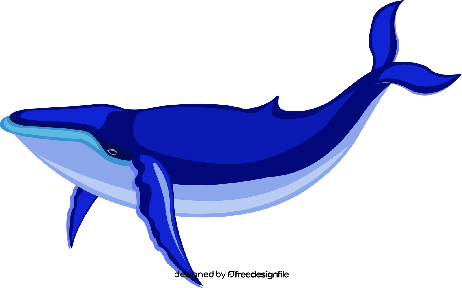 Whale clipart