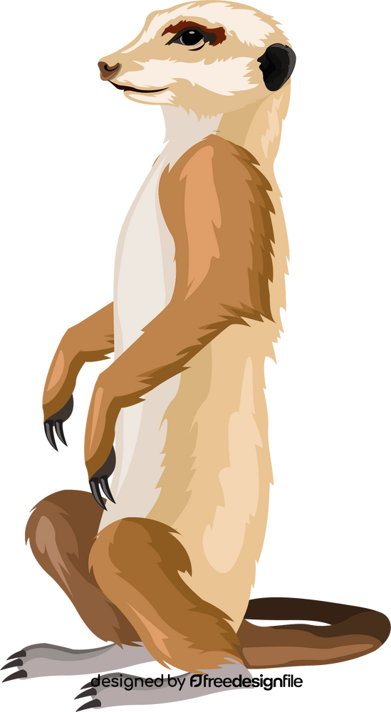 Meerkat animal clipart